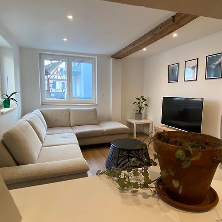 Appartement Confortable Soufflenheim 外观 照片