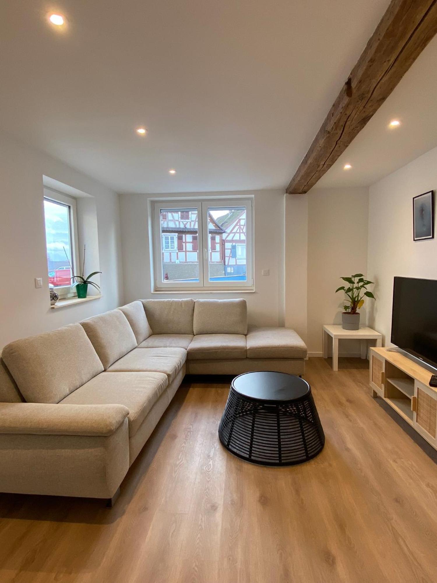 Appartement Confortable Soufflenheim 外观 照片