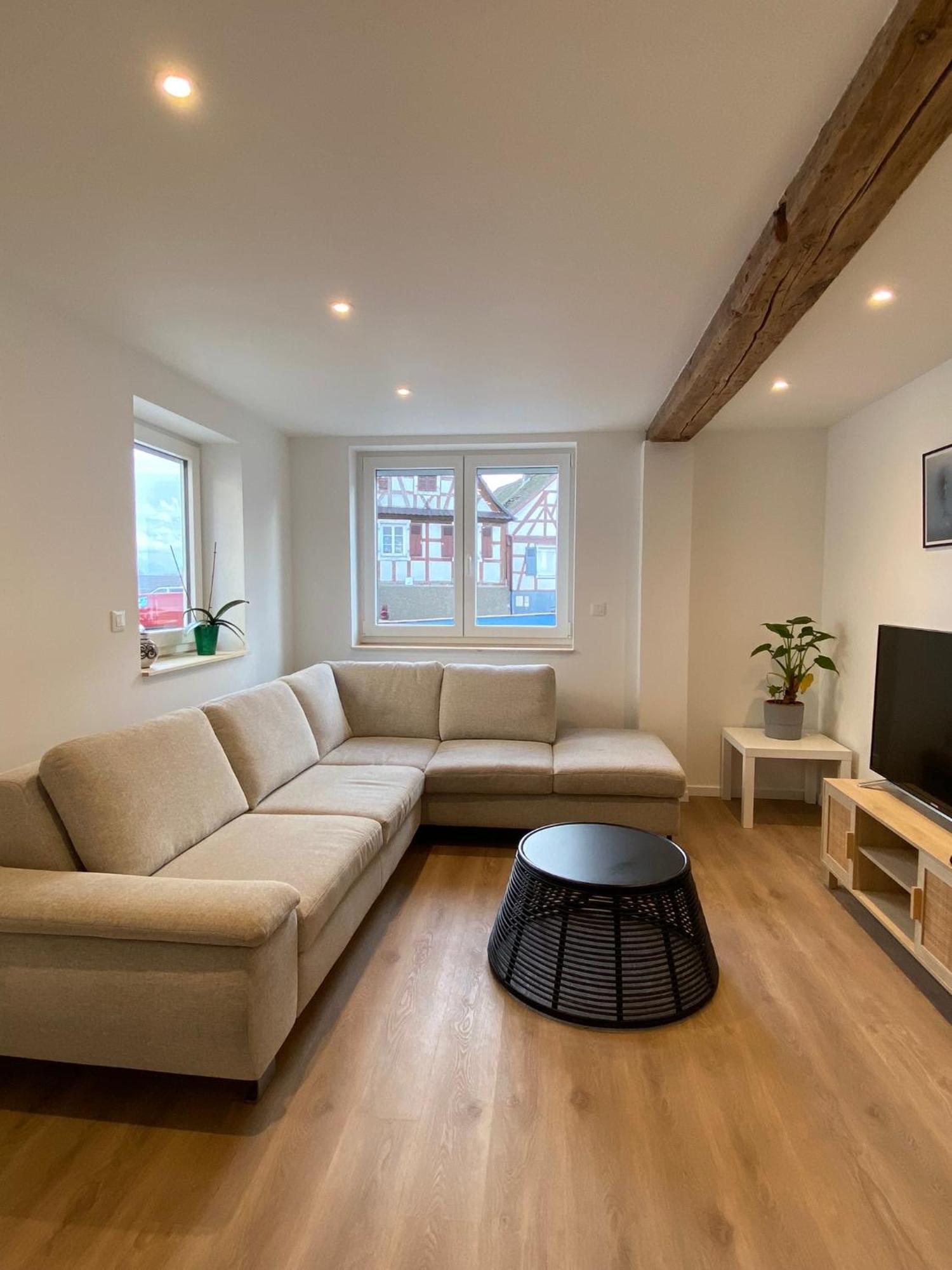 Appartement Confortable Soufflenheim 外观 照片