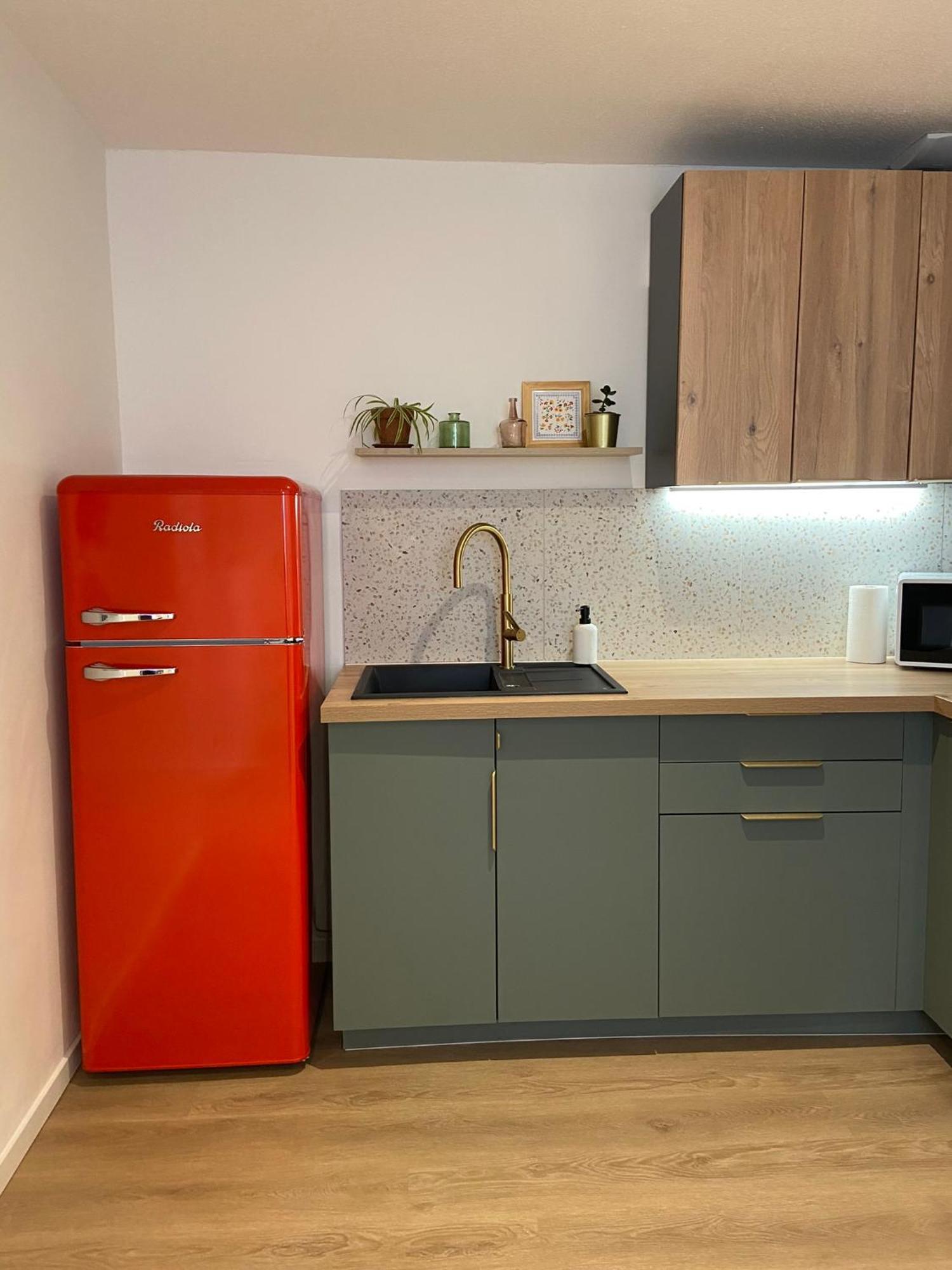 Appartement Confortable Soufflenheim 外观 照片