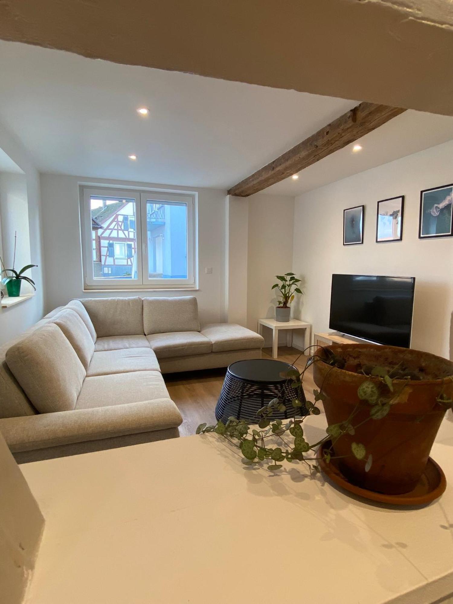 Appartement Confortable Soufflenheim 外观 照片